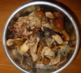 天然きのこ特上ミックス／塩蔵１ｋｇ ＜送料無料、税込み＞